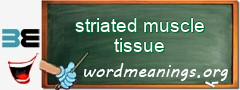 WordMeaning blackboard for striated muscle tissue